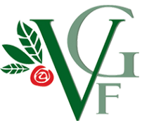 Логотип компании Vega Flowers