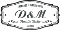 Логотип компании D & M Studio