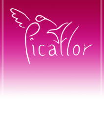 Логотип компании Picaflor
