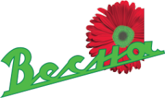 Логотип компании Весна