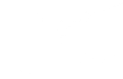 Логотип компании Сапсан Плюс
