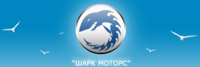 Логотип компании Шарк Моторс