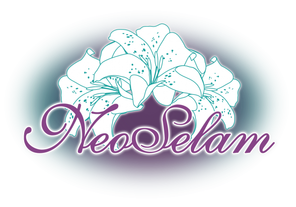 Логотип компании NeoSelam