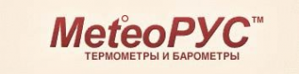 Логотип компании МетеоРус