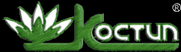 Логотип компании КОСТИП