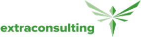 Логотип компании Экстраконсалтинг