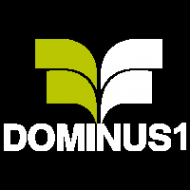 Логотип компании «Доминус»