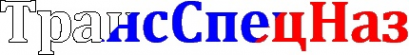 Логотип компании Группа компаний ТрансСпецНаз
