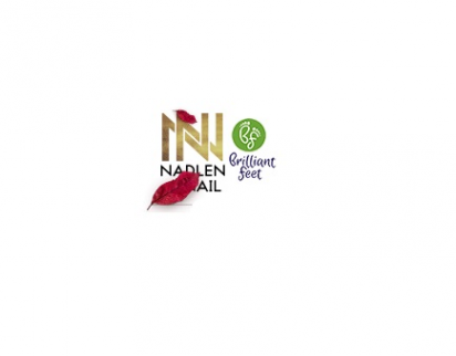 Логотип компании Nadlen Nail