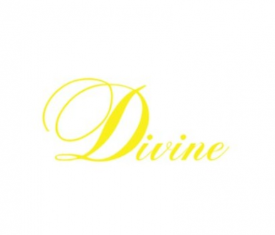 Логотип компании Салон красоты DIVINE - (ИП Авраменко)