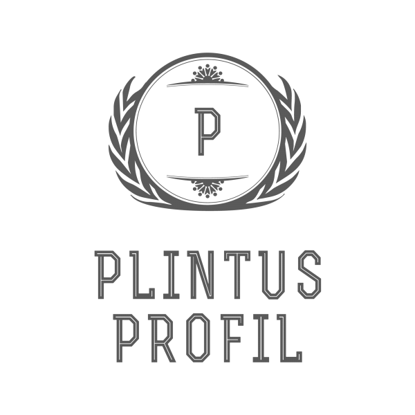 Логотип компании Плинтус Профиль