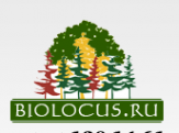 Логотип компании Питомник деревьев крупномеров Биолокус