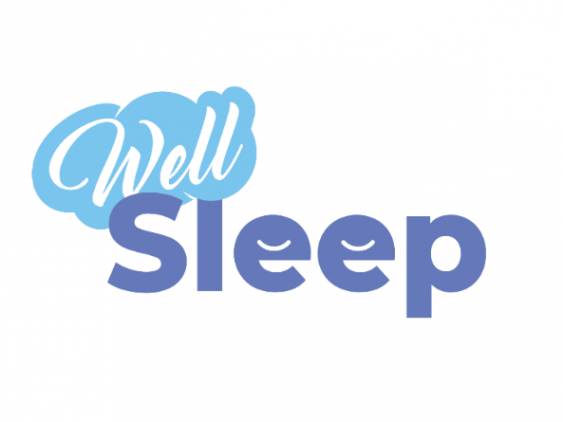 Логотип компании Веллслип