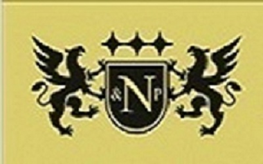 Логотип компании Наумовы и Партнеры.рф