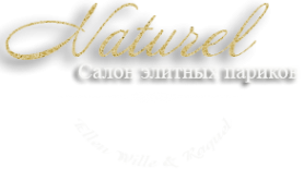 Логотип компании Naturel