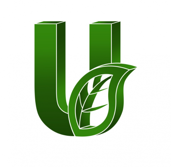 Логотип компании Строй-Групп Дерево