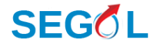 Логотип компании Сегол
