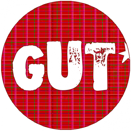 Логотип компании GutMagaz | ГутМагаз