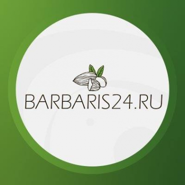 Логотип компании Интернет-магазин «Barbaris24.ru»