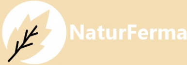 Логотип компании ООО Шанс