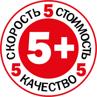 Логотип компании «Вежливый сервис 5+» – ремонт техники на дому