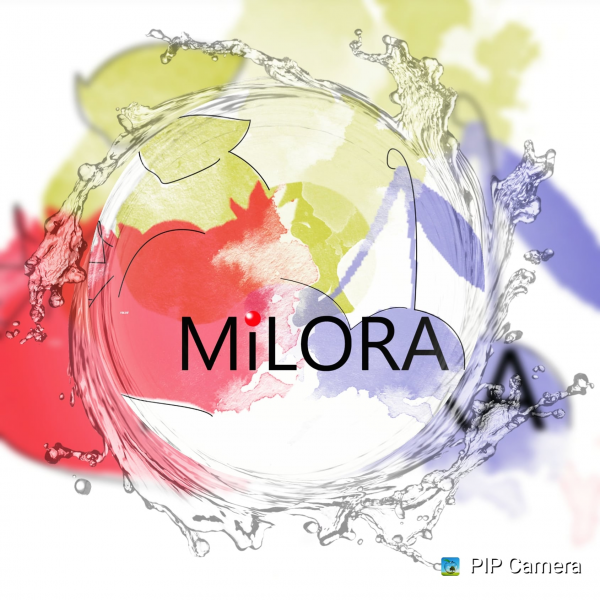 Логотип компании Интернет-магазин пищевых ингредиентов Милора