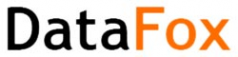 Логотип компании DATAFOX