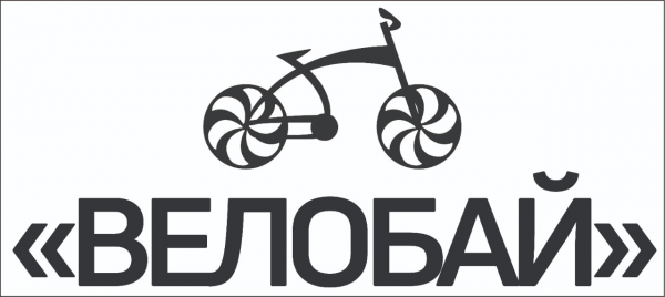 Логотип компании Velobuy
