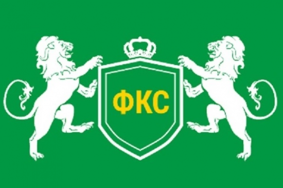 Логотип компании Финансовый консул столицы