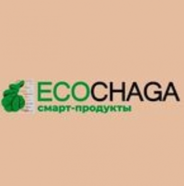 Логотип компании ECOCHAGA