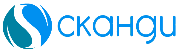 Логотип компании ГK СКАНДИ