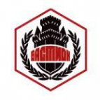 Логотип компании ЧОП Агентство Бастион
