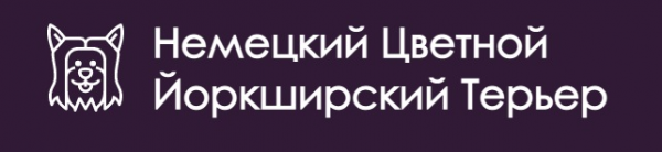 Логотип компании Питомник йоркширских терьеров MultiColorYorKis