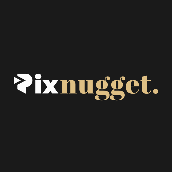 Логотип компании Pixnugget