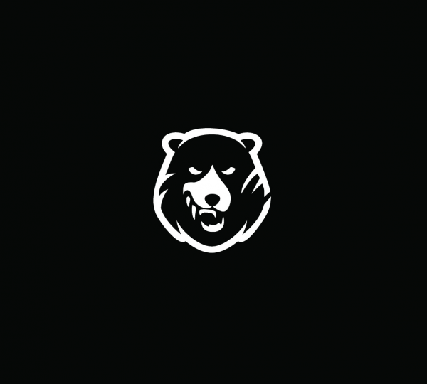 Логотип компании BEARHUNTER