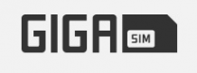 Логотип компании Гигасим