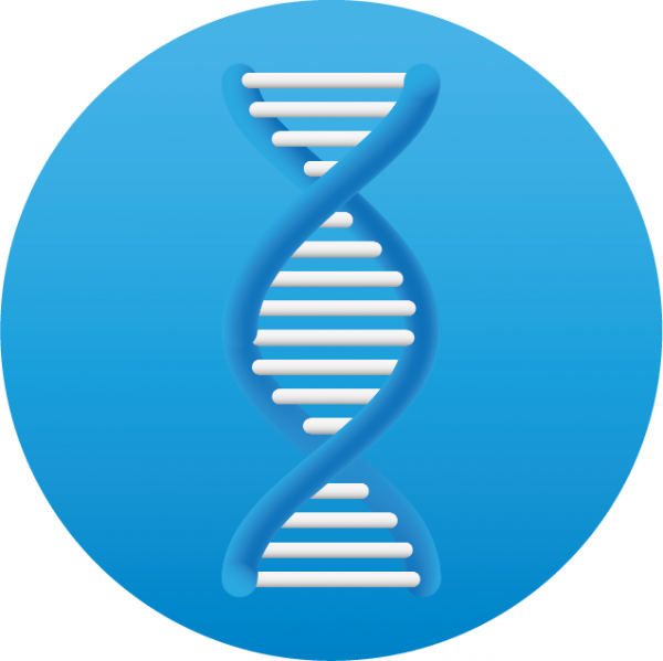 Логотип компании "ДНК ЦЕНТР"