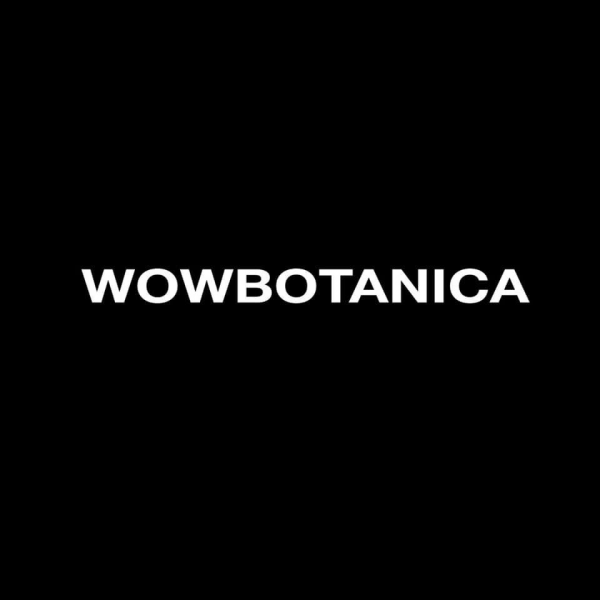 Логотип компании WOWBOTANICA