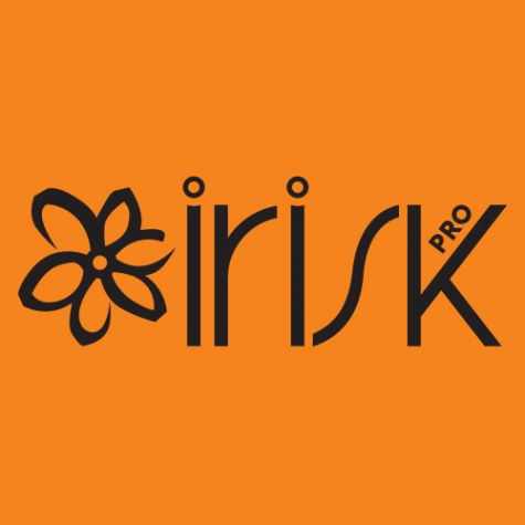 Логотип компании IRISK Professional