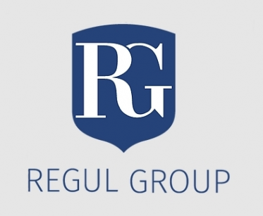 Логотип компании Регул Групп