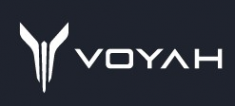 Логотип компании Официальный дилер Voyah в Москве
