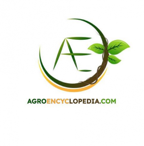 Логотип компании Agroencyclopedia