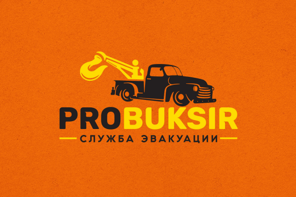 Логотип компании ProBuksir