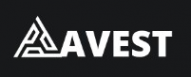 Логотип компании AV-EST