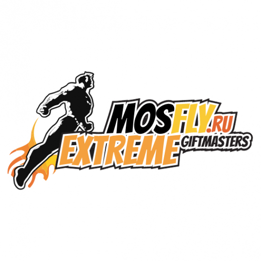 Логотип компании MosFly
