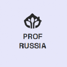 Логотип компании Профессионалы России