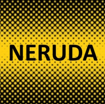 Логотип компании NERUDA
