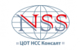 Логотип компании НСС Консалт