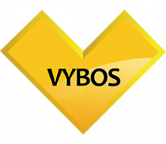 Логотип компании ВАЙБОС