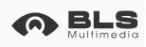 Логотип компании BLS Multimedia –Мультимедийный интегратор